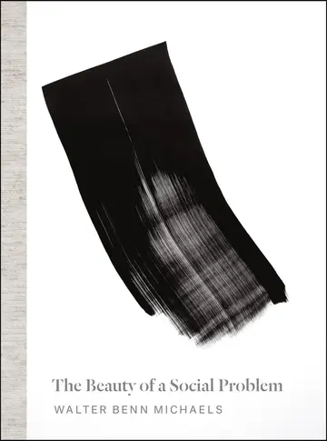 Cover of The Beauty of a Social Problem