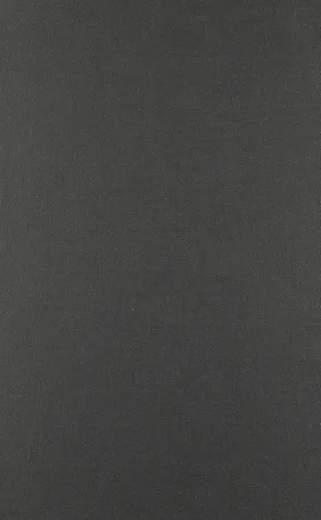 Cover of Everyday Troubles