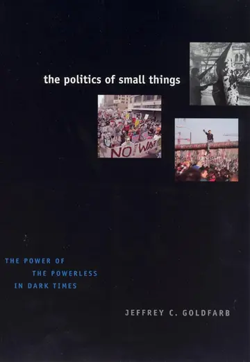 Cover of The Politics of Small Things