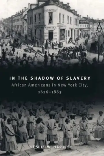 Cover of In the Shadow of Slavery