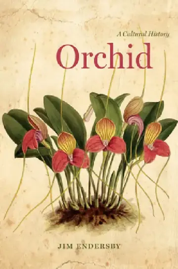 Cover of Orchid