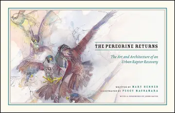 Cover of The Peregrine Returns