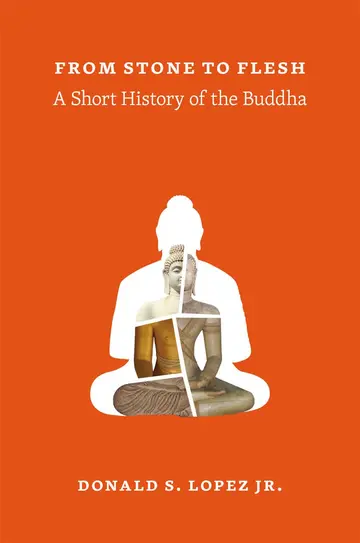 Cover of From Stone to Flesh