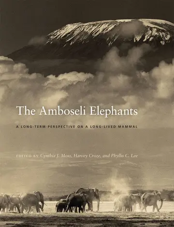 Cover of The Amboseli Elephants - A Long-Term Perspective on a Long-Lived Mammal