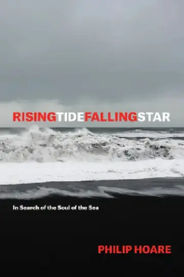 Cover of Risingtidefallingstar