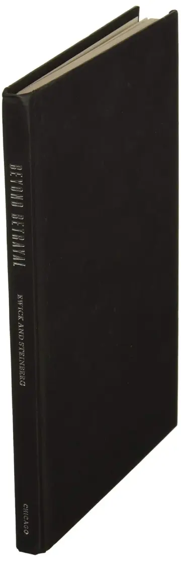 Cover of Beyond Betrayal – The Priest Sex Abuse Crisis, the Voice of the Faithful, and the Process of Collective Identity