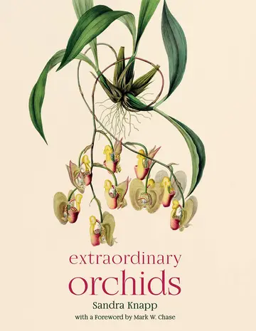 Cover of Extraordinary Orchids