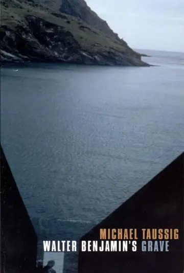 Cover of Walter Benjamin′s Grave