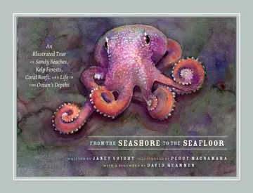 Cover of From the Seashore to the Seafloor