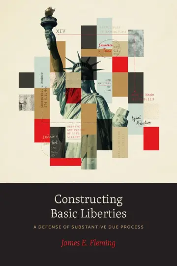 Cover of Constructing Basic Liberties