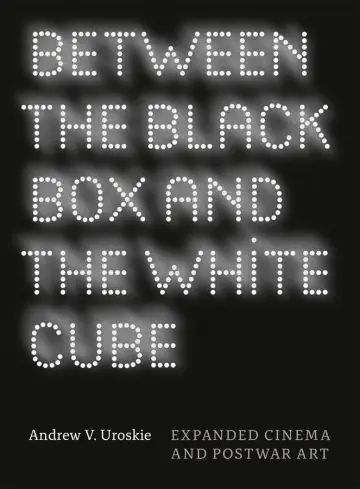 Cover of Between the Black Box and the White Cube – Expanded Cinema and Postwar Art