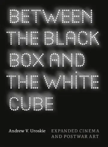 Cover of Between the Black Box and the White Cube