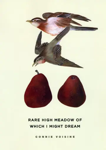 Cover of Rare High Meadow of Which I Might Dream – The Bird is Her Reason