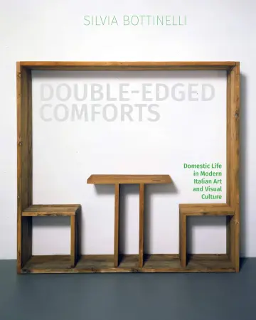 Cover of Double-Edged Comforts