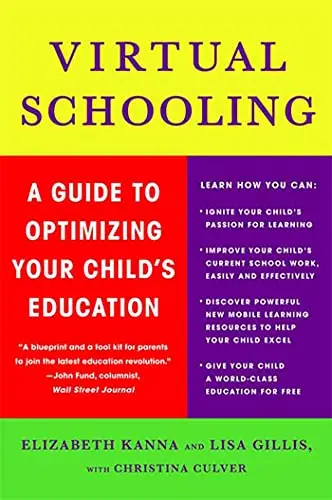 Cover of Virtual Schooling