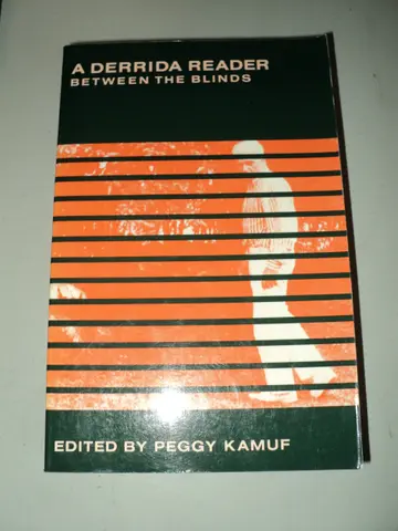 Cover of The Derrida Reader