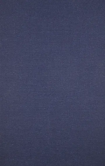Cover of Fictional Realism in Twentieth-Century China