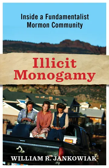 Cover of Illicit Monogamy