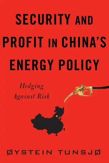 Cover of Security and Profit in China`s Energy Policy