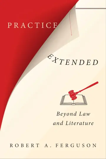 Cover of Practice Extended