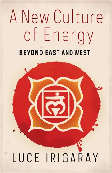 Cover of A New Culture of Energy