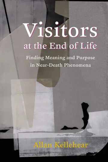 Cover of Visitors at the End of Life