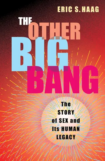 Cover of The Other Big Bang