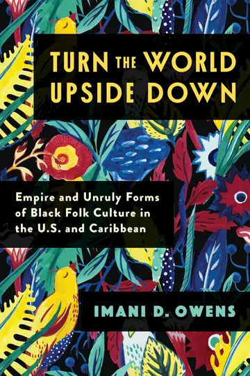 Cover of Turn the World Upside Down