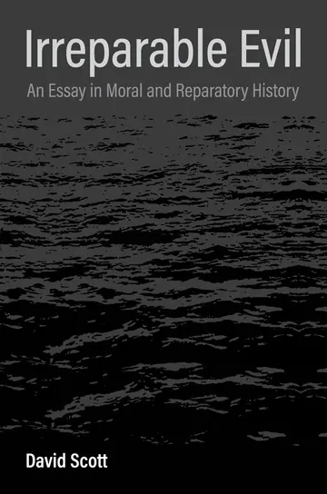Cover of Irreparable Evil