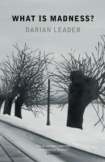 Cover of What is Madness?