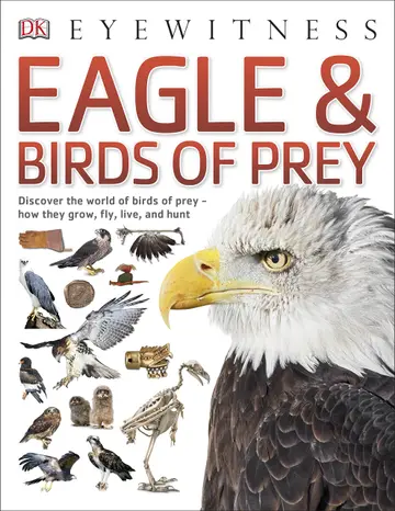 Cover of Eagle & Birds of Prey