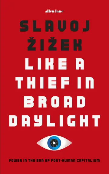 Cover of Like A Thief in Broad Daylight
