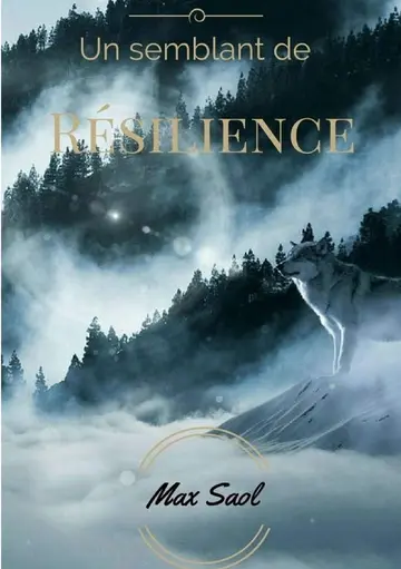 Cover of Un Semblant De Resilience