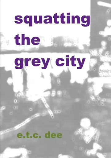 Cover of Squatting the Grey City