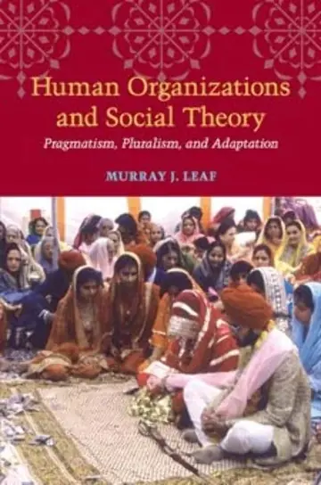 Cover of Human Organizations and Social Theory