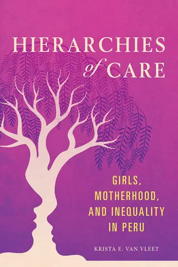 Cover of Hierarchies of Care