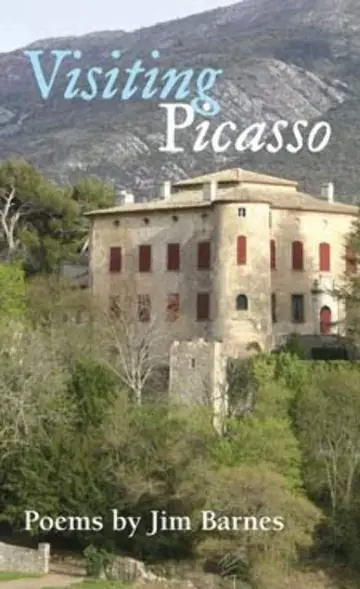 Cover of Visiting Picasso
