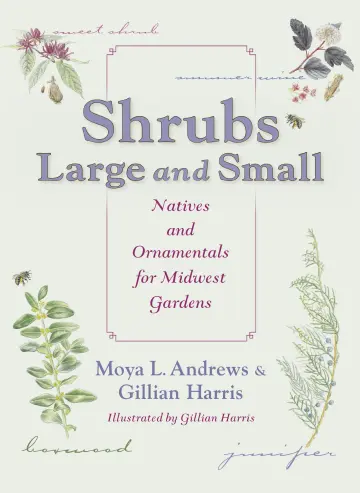 Cover of Shrubs Large and Small