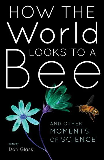 Cover of How the World Looks to a Bee