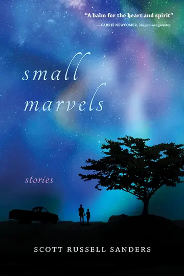 Cover of Small Marvels