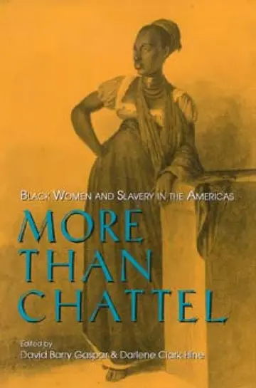 Cover of More Than Chattel
