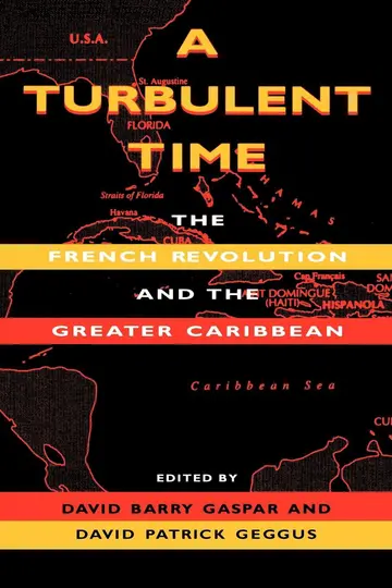 Cover of A Turbulent Time