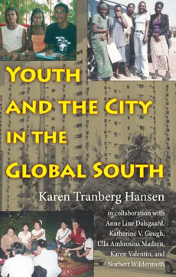 Cover of Youth and the City in the Global South