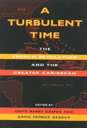 Cover of A Turbulent Time