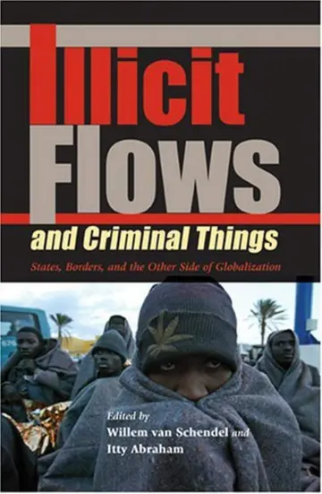 Cover of Illicit Flows and Criminal Things