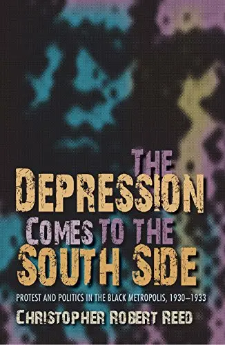 Cover of The Depression Comes to the South Side