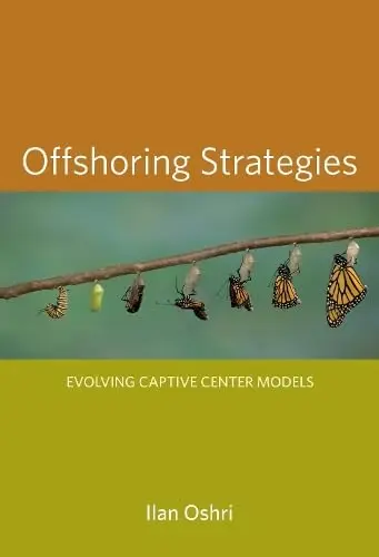 Cover of Offshoring Strategies