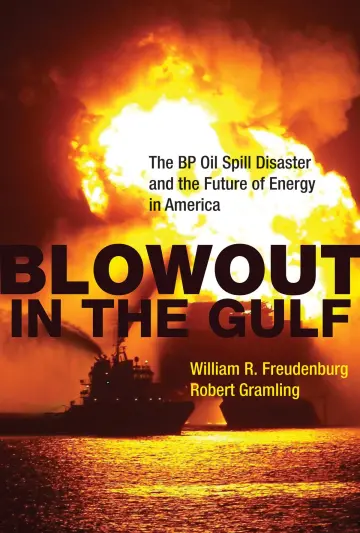 Cover of Blowout in the Gulf