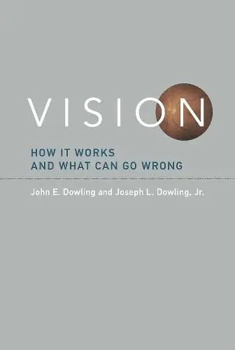 Cover of Vision