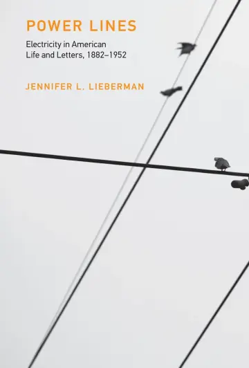 Cover of Power Lines